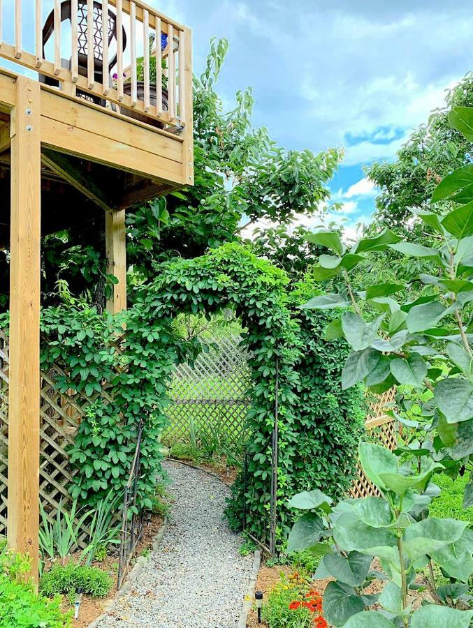 Guest house Micosta Leisure